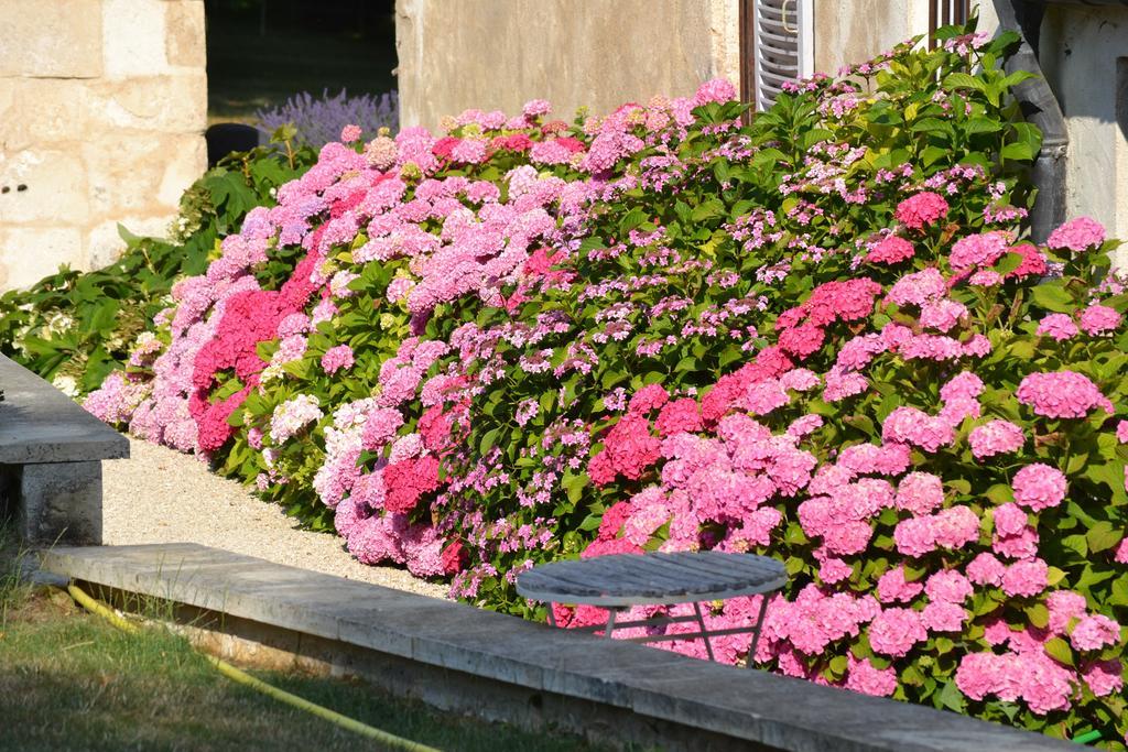 La Maison du Potager de Mazières Sainte-Solange Esterno foto