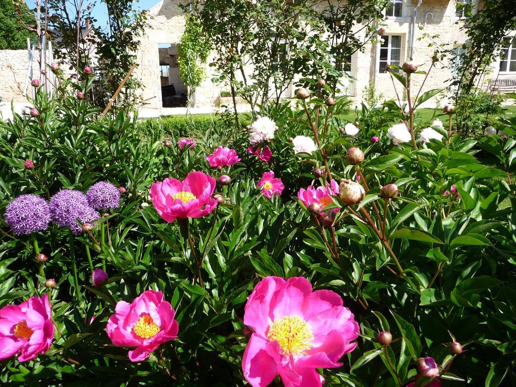 La Maison du Potager de Mazières Sainte-Solange Esterno foto